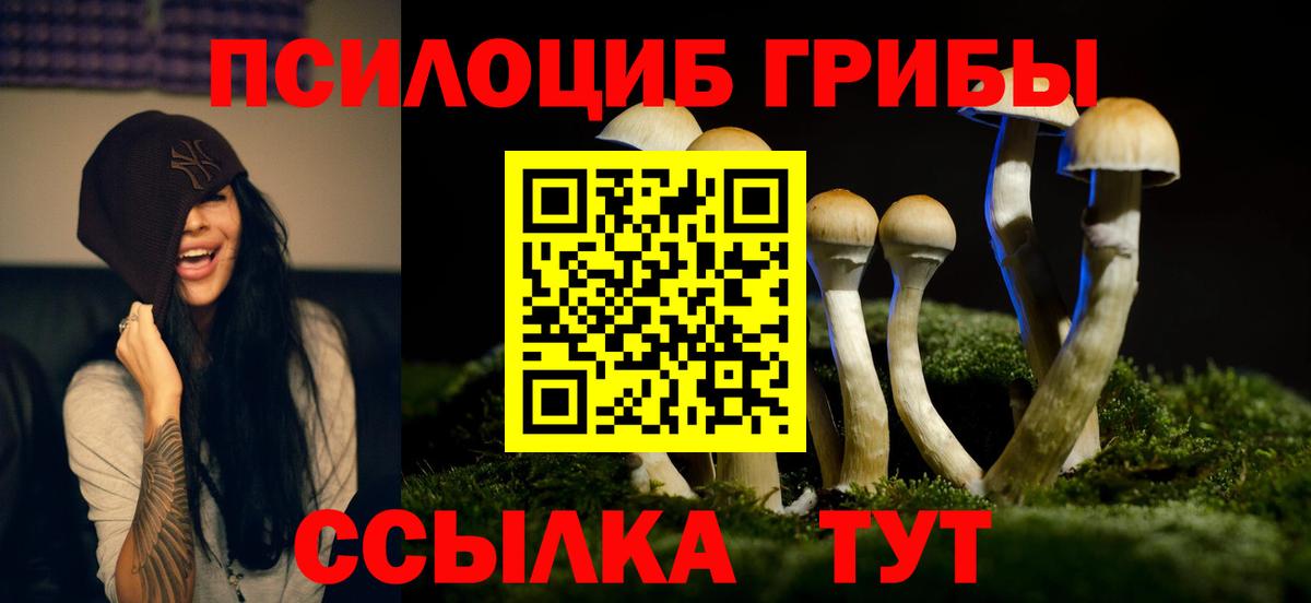 Псилоцибиновые грибы GOLDEN TEACHER Партизанск
